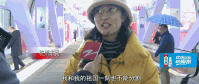 请回答2019:2020倒计时6天 哪句话戳中了你的心?